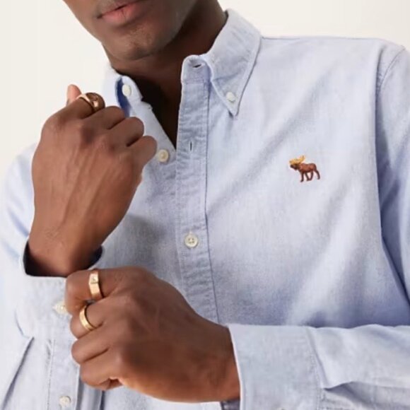 Abercrombie & Fitch Men’s Oxford Shirt Blue Long Sleeve Button Down Moose Logo X - Picture 1 of 8